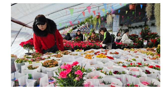 鲜花迎新春