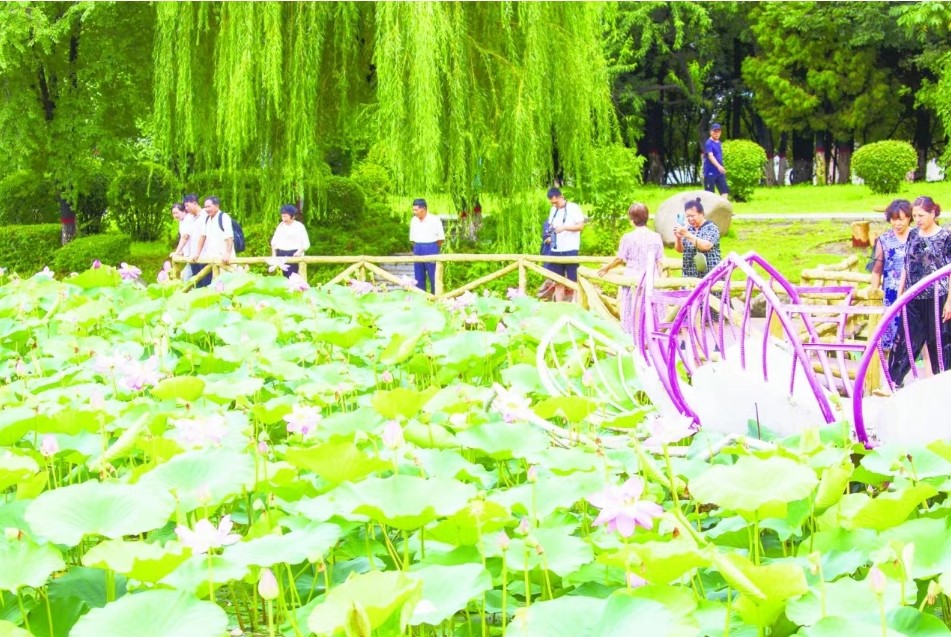 珲春市龙源公园吸引大量游客赏花拍照